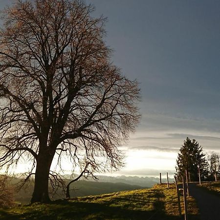 Kuhnest Διαμέρισμα Scheidegg Εξωτερικό φωτογραφία